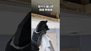 누수 곰팡이! 이대로 둬도 괜찮을까?