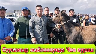 Кыргыз курош Суусамыр жайлоосунда