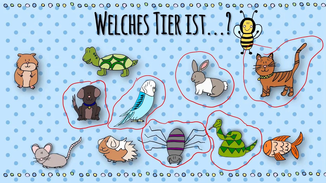 Deutsch Lernen | Pets - Haustiere (A1) Lesson 1 - YouTube