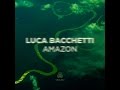 Luca Bacchetti 