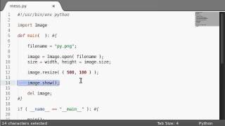 Python [PIL Image] 14 The Resize Function