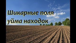 Много находок под Дмитровом. Знакомство с камрадами.