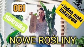 W końcu NOWE ROŚLINY! 🌱 | prosto z siaty 😁| połamałam filka :( | zakupy z OBI i STOKROTKI