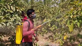 Sampoorti Varsha Gold Battery Sprayer - Guava  9997085000