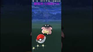 Pokemon 241 Miltank cp2015 大奶罐 抓到了！