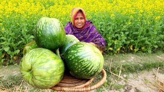 কম খরচে সেরা স্বাদে মাছ মাংস ছাড়া বেগুন ভাজি ভুনা Begun Vuna NEW Brinjal Bhuna Recipe Eggplant Curry