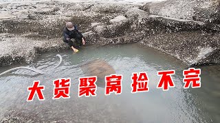 潮底4米高的千平大水坑中坑，底下大货聚窝捡不完，越摸越惊喜