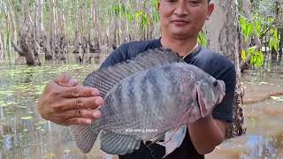 menjaring monsternya ikan nila liar #papua selatan