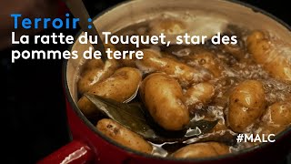 Terroir : la ratte du Touquet, star des pommes de terre