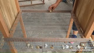Como se hace jaula casera de codorniz How to make quail cage