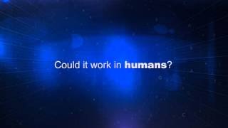 Cracking the Code: Life Extension
