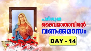 പരിശുദ്ധ അമ്മയുടെ വണക്കമാസവായനകൾ -Day-14-മെയ് മാസത്തെ വണക്കമാസം |SIMMY JOFIN \u0026 JOHN JOFIN