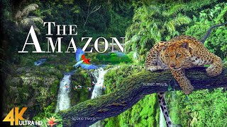 FLYING OVER AMAZON (4K UHD) - Relaxing Music Along With Beautiful Nature Videos - 4K Video Ultra HD