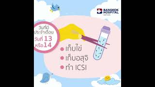 Timeline การทำ ICSI