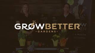 Introducing GrowBetter Gardens