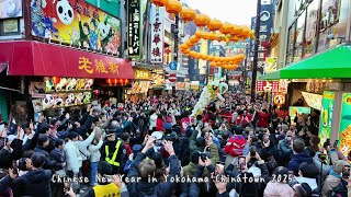 【4K横浜】横浜中華街・春節　獅子舞（採青） 2025／Chinese New Year in Yokohama Chinatown