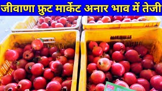 जीवाणा फ्रूट मार्केट आज के ताजा भाव 21/12/2024 jivana fruit market aaj ke taja bhav