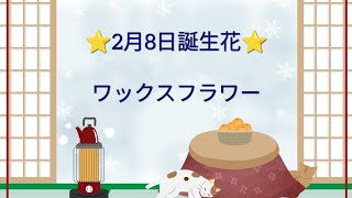 2月8日誕生花