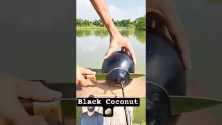 OMG Black Coconut 🥥 #shorts