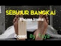 SEBUJUR BANGKAI,Rhoma Irama,cover Tiya