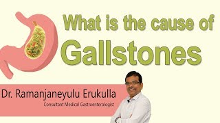 Hi9 | What is the cause of gallstones? | Dr. E. Ramanjaneyulu | Gastroenterologist