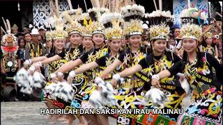 Video Kreatif BBWI Event IRAU Malinau Tahun 2023