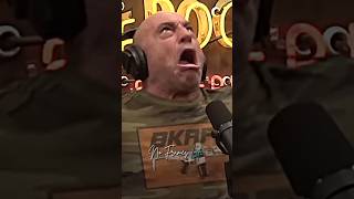 🤣 Why UFC Fans Are Weird?! | Joe Rogan Experience Podcast, ft. Bas Rutten #shorts