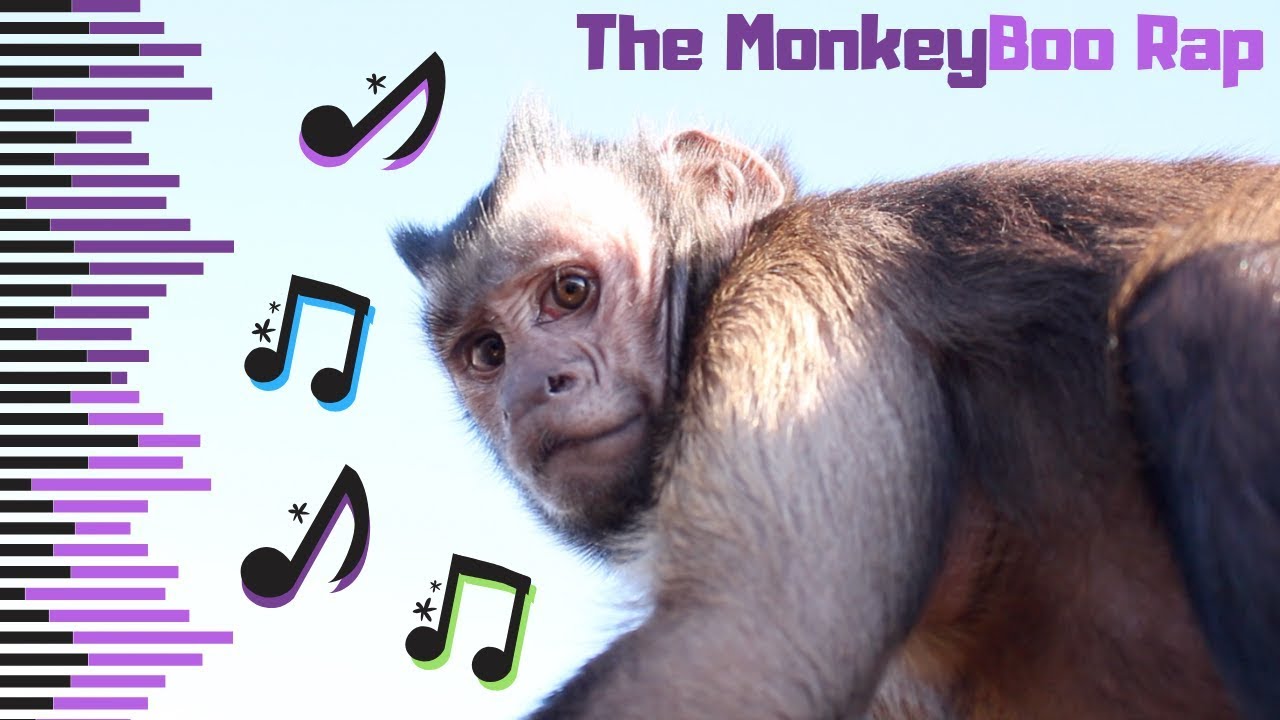 The MonkeyBoo Rap Song! - YouTube