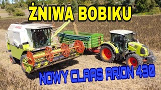 Wietrzne żniwa bobiku ✔ Claas Dominator 150🚜Nowy CLAAS ARION 430 & Zetor Forterra 115 ✮ w akcji🎬