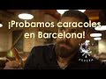 ESTO ES TODO LO QUE PUEDES COMER EN BARCELONA. VIAJA Y PRUEBA CON LUCIANO MAZZETTI