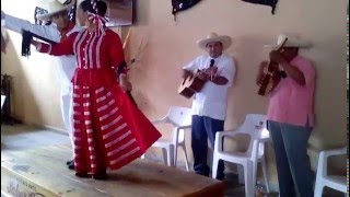 Los abajeños: Sones de tarima \