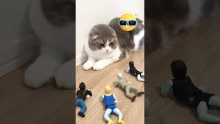 Bikin nafsu #shortvideo #cat #kucingkomedi #catlover # #kucing #kucinglucu #kucingkocak #comedy