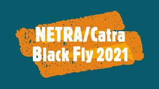 NETRA Catra Black Fly 2021