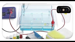 electrophoresis جهاز الترحيل الكهربائي