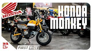 2019 Honda Monkey | First Ride