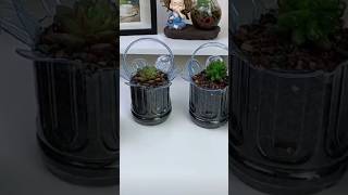 Tự làm chậu hoa độc đáo từ chai nhựa cũ || Unique Flower Pot Made from Recycled Plastic Bottles
