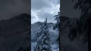 Himachal pradesh snowfall at tirthan valley