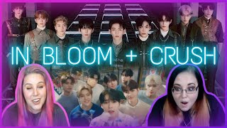 K-Cord Girls First Reaction to ZEROBASEONE (제로베이스원) 'In Bloom' +  'CRUSH (가시)' MV!!!