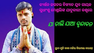 ଯା ଚାଲି ଯାଆ ବୃନ୍ଦାବନ | Ja Chali Jaa Brundaban Sudhanshu Mendli Kirtan At Birmal #kirtan