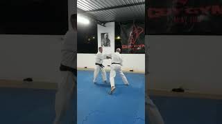 Karate Goju Ryu kumite
