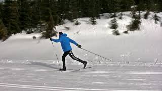 Shuffling vs Striding in Classic Cross Country Skiing- Why the Difference?