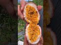 🤯🤯china amazing fruit 🍓🍑🍓 trending china talent fruit