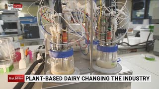Plant-based dairy changing the industry