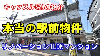 これぞ駅前物件！リノベーション1LDK賃貸マンション【キャッスル524】の紹介