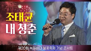 조태균 ♬내 청춘 [녹동바다 불꽃축제] 2022.9.1.