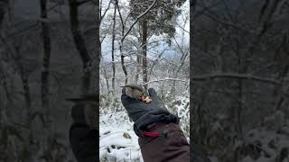 金剛山野鳥の餌付け