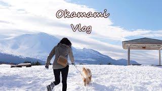 VLOG: Stay at the Cabin in KitaKaruizawa / Dog play in the snow with sled / Days in my life 