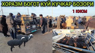 1 КИСМ КУЙ КУЧКАР БОЗОР НАРХЛАРИ ХОРАЗМ БОГОТ 26 02 25Г