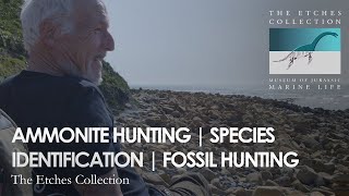 AMMONITE HUNTING | SPECIES IDENTIFICATION | FOSSIL HUNTING