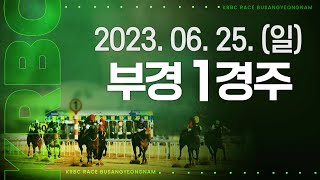 (부산) 2023.06.25 1경주